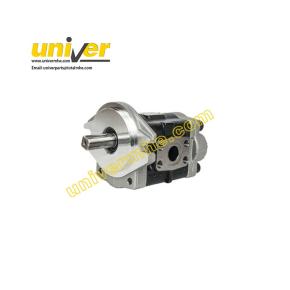 0009812242: Hydraulic Gear Pump for Baoli KBE20-30 DC