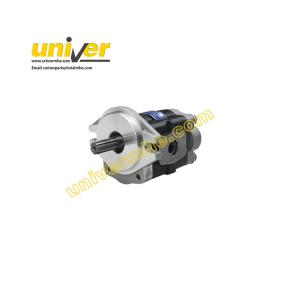 DSG05A25F9H1-R206C: Hydraulic Gear Pump for BYD CPD20-25(CAA)