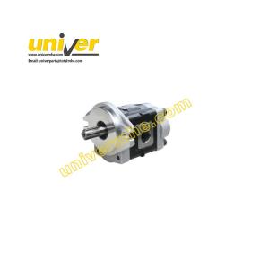 DSG05C16F9H9-L006C: Hydraulic Gear Pump for HC CQD20H