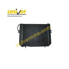 A30G5-40300: Radiator Assy for  Goodsense Forklift  