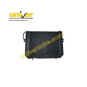 A30BC5-40300: Radiator Assy for  Goodsense Forklift  