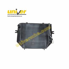 25BY21-01000A: Radiator Assy for  Maximal Forklift