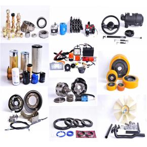 CG92310HT:Mast Roller for Forklift