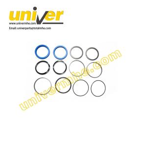 A43E4-50201XLB: Seal Kit,Steering Cylinder for Heli Forklift 